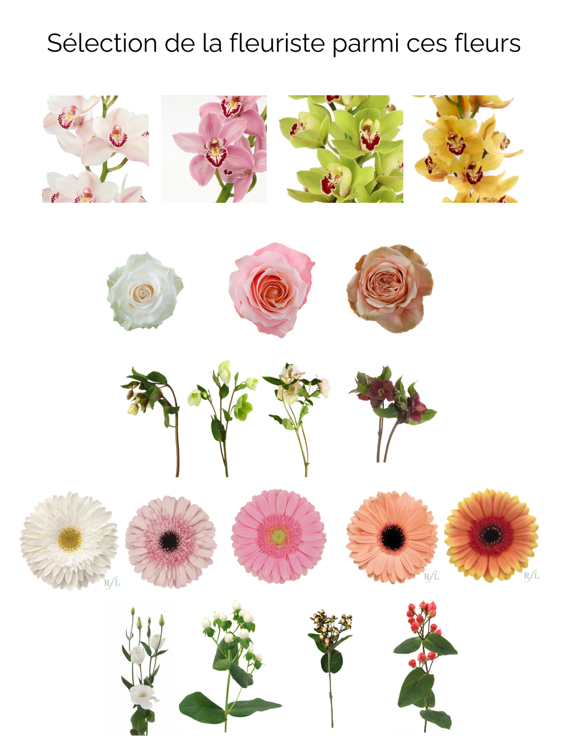 Bouquet of flowers floral harmony