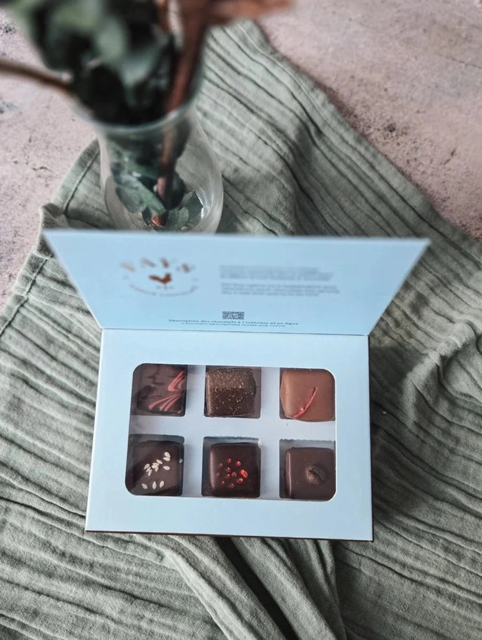 Collection de bouchées au chocolat 