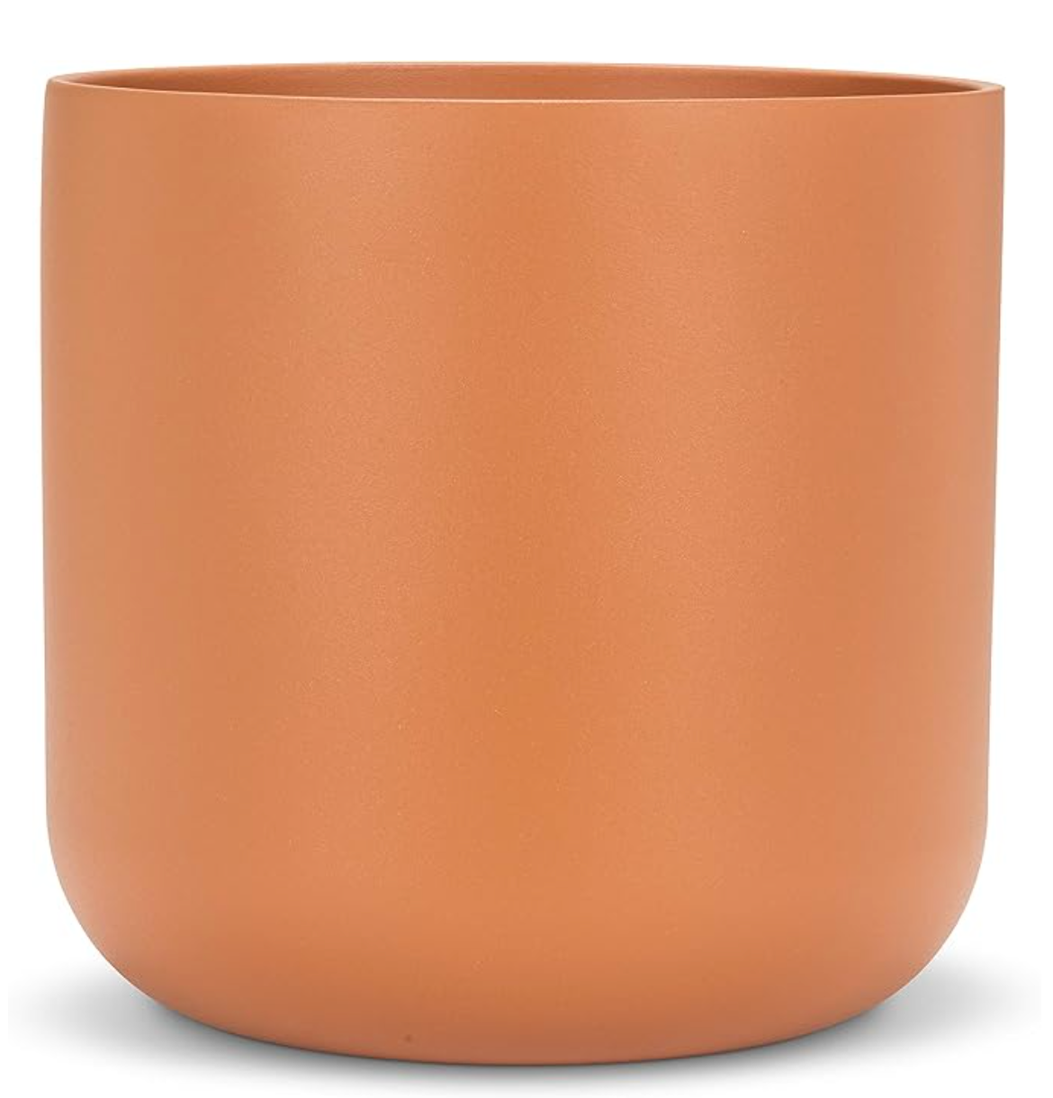 Poinsettia Élégant