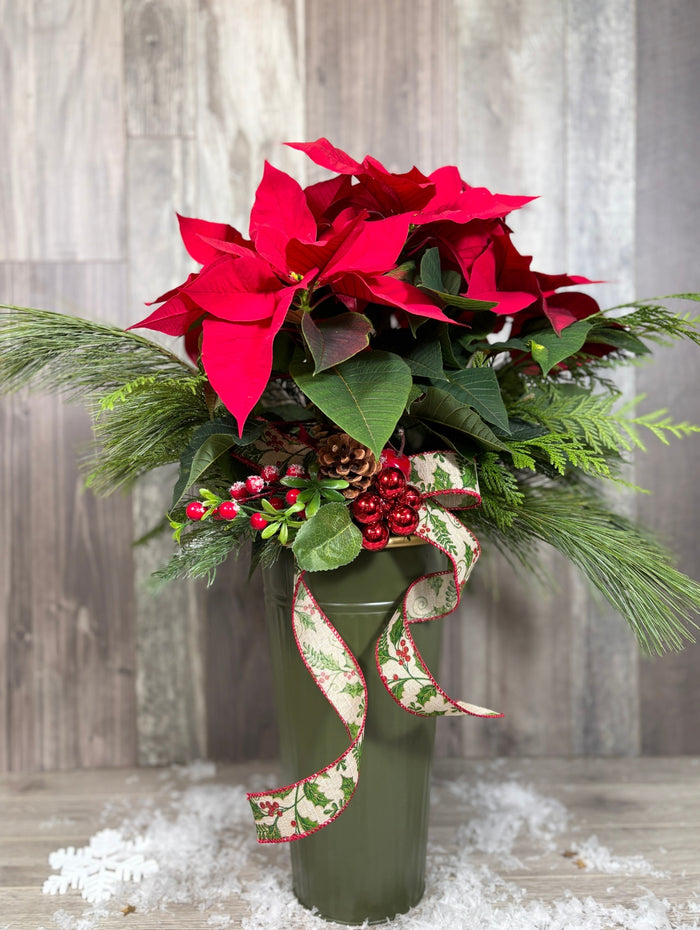 NOE212 Poinsettia local festif