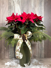 NOE212 Poinsettia local festif