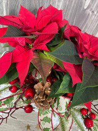 NOE257 Poinsettia joyeux