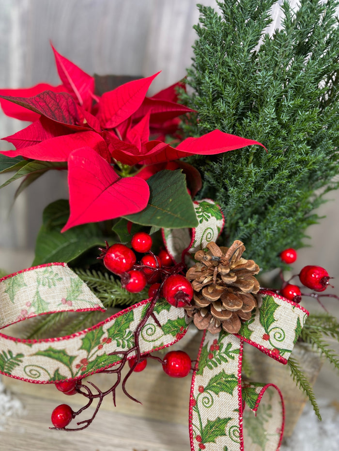 NOE264 Poinsettia et bois