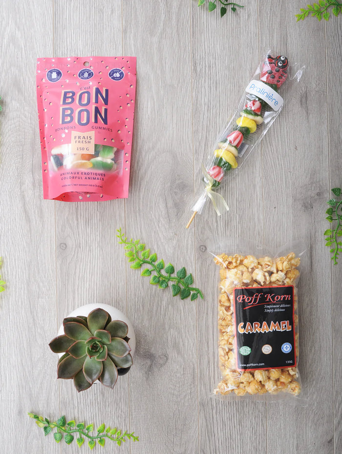 Plante succulente et succulentes sucreries
