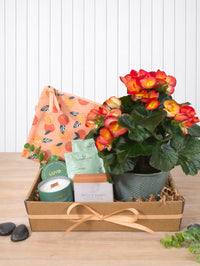 PAN111 Panier cadeau détente fleurie