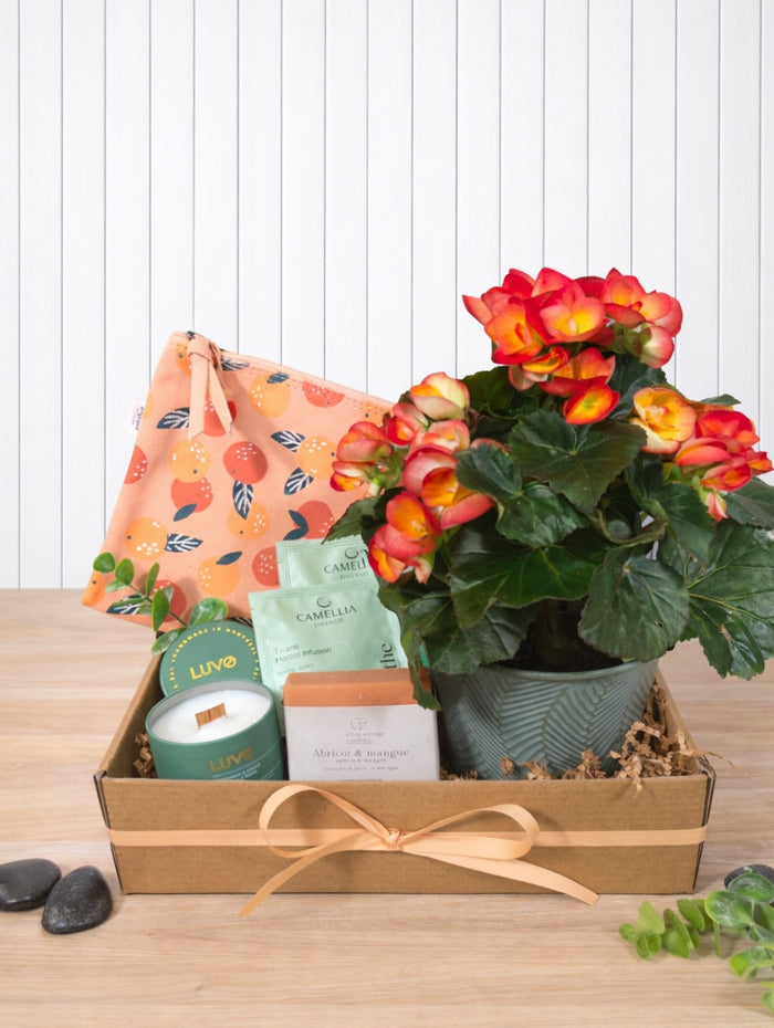 PAN111 Panier cadeau détente fleurie