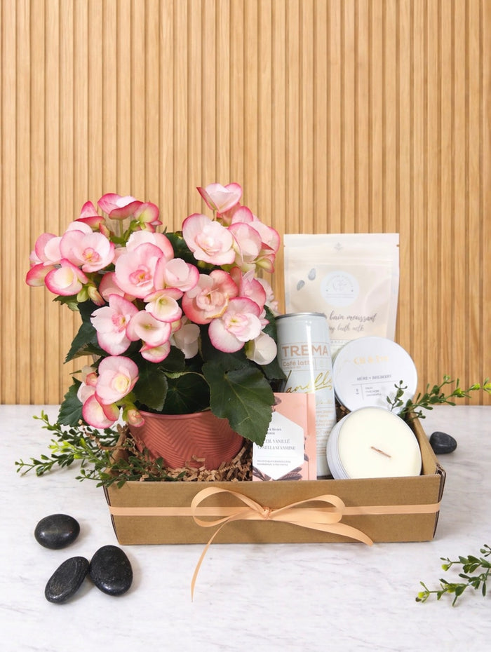 PAN126 Rituel de douceur avec plante fleurie