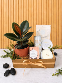 PAN126 Rituel de douceur avec plante fleurie