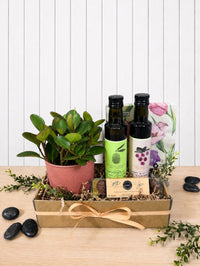 PAN127 Plante fleurie et produits locaux