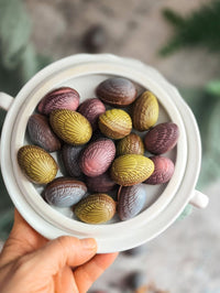 PAQ017 Petits œufs gourmands en chocolat