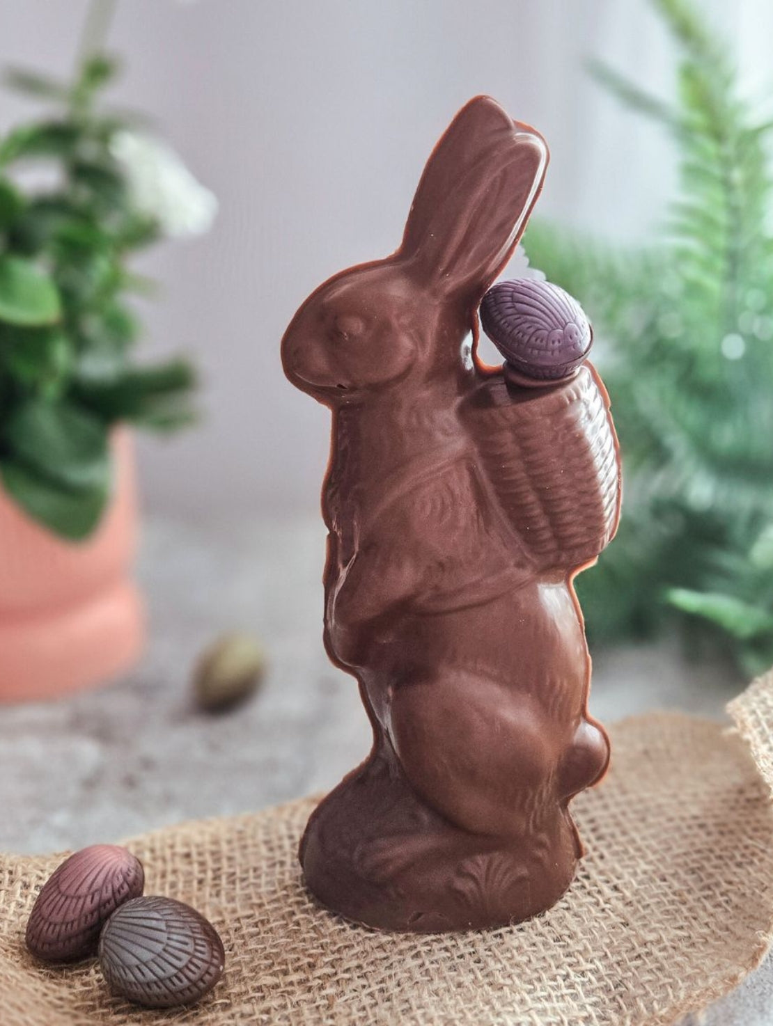 PAQ041 Les lapins en chocolat