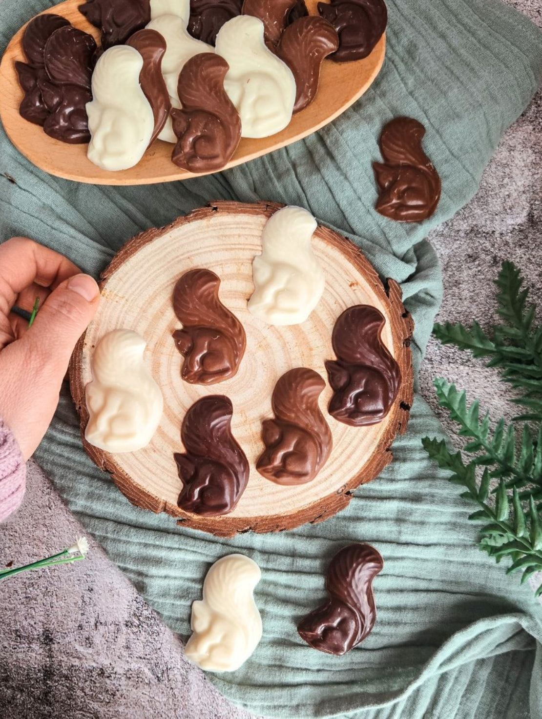 PAQ043 Les écureuils en chocolat