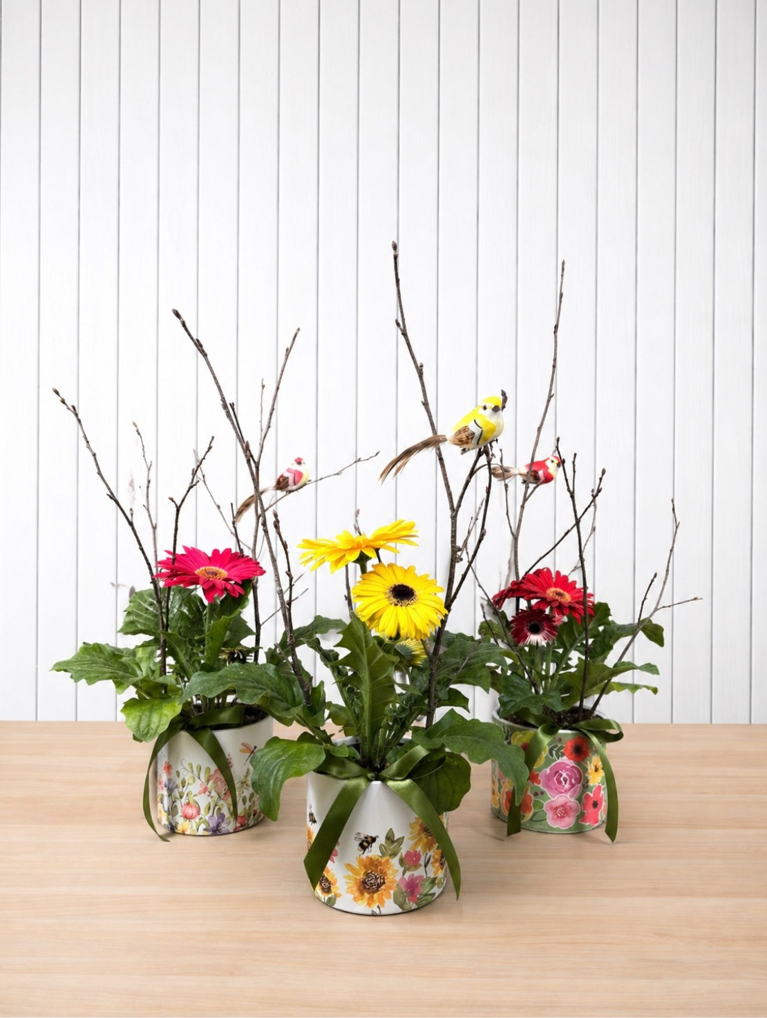 PLA090 Floraison printanière