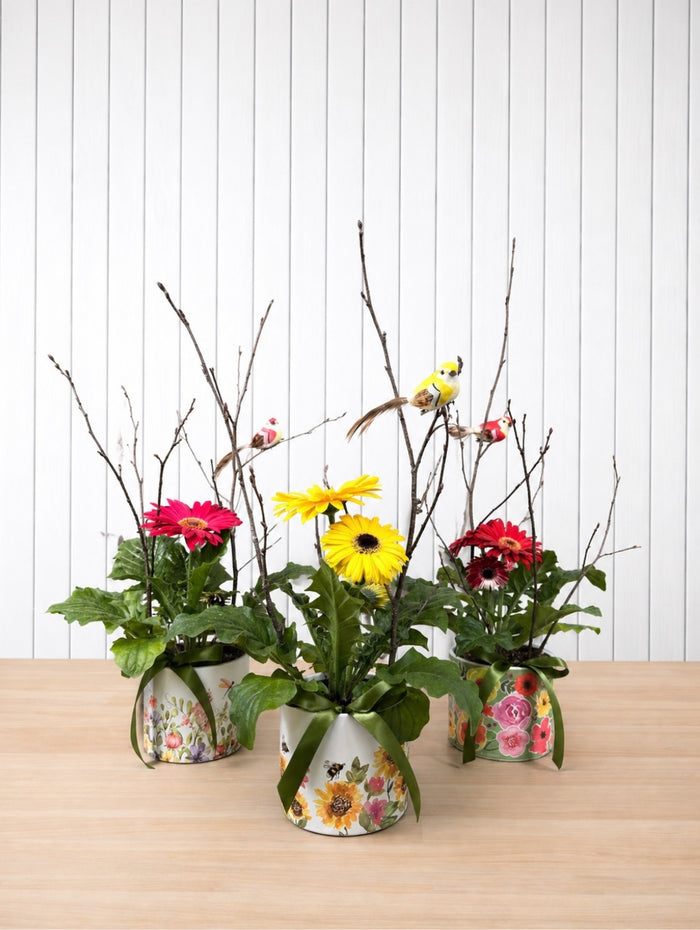 PLA090 Floraison printanière