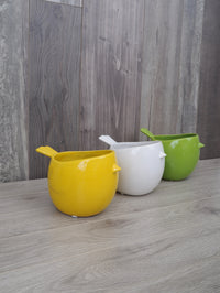 PLA108 nid de verdure