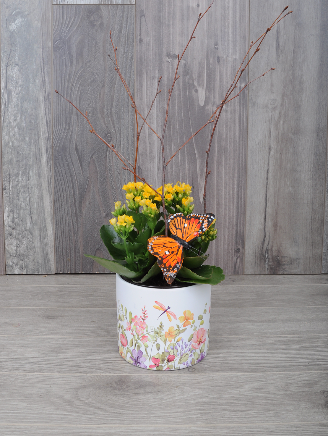 Plante fleurie et colorée