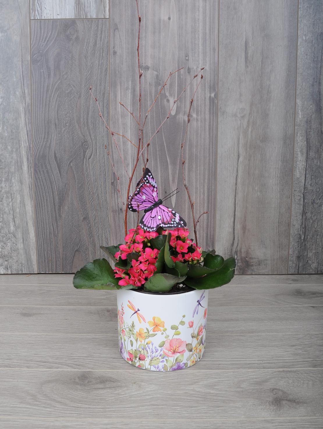 Plante fleurie et colorée