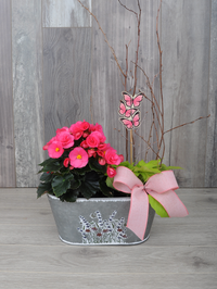 Jardinière de plantes pour la terrasse