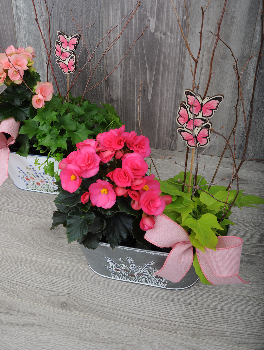 Jardinière de plantes pour la terrasse