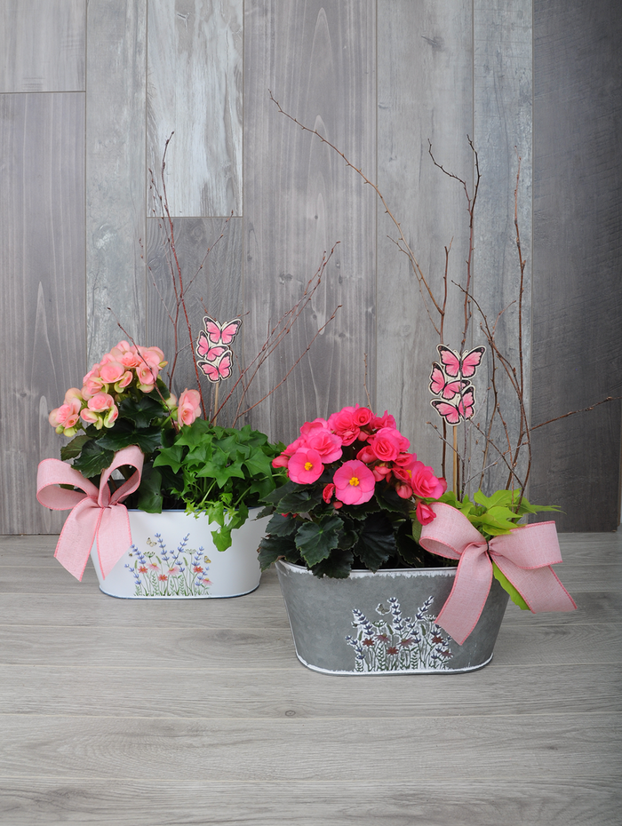 Jardinière de plantes pour la terrasse 