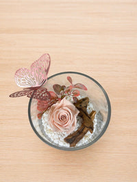 ROS033 Délicate éternelle et papillon