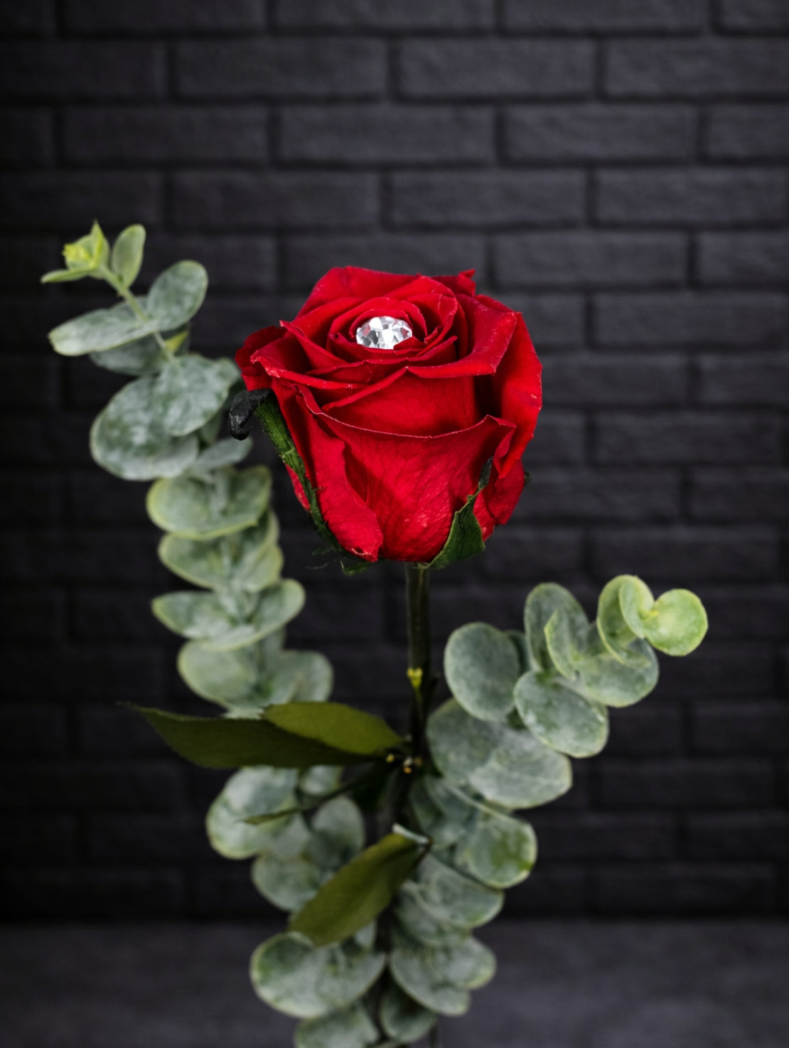 ROS073 Unerose pour toujours 