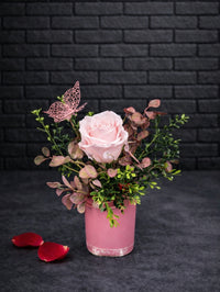 ROS076 Jardin éternel 