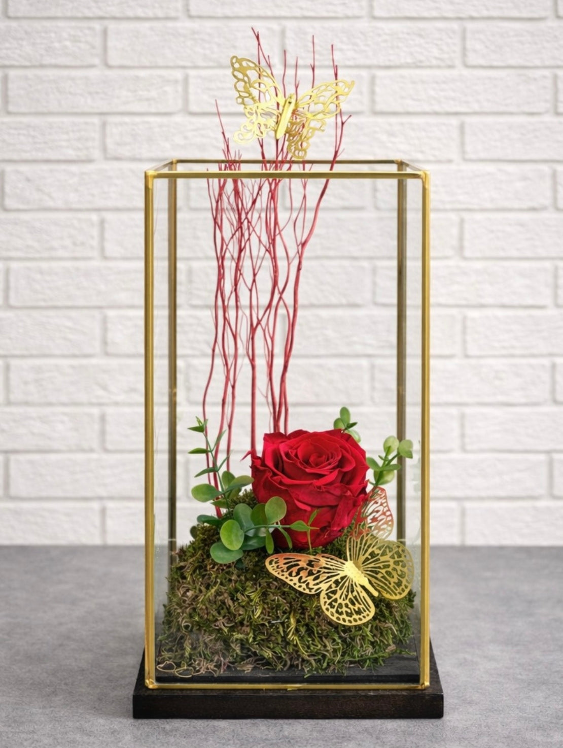 ROS077 Passion éternelle 