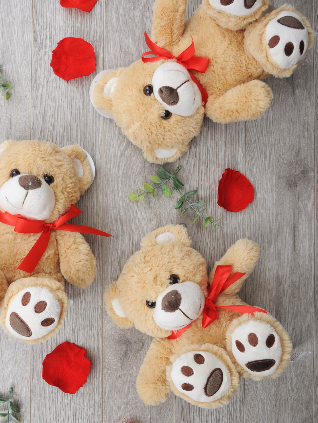 Ours en peluche pour la Saint-Valentin - Source syndicale Ours en peluche pour la Saint-Valentin - Source syndicale
