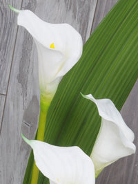 Callas artificiel fleurs pour funérailles douces et modernes 
