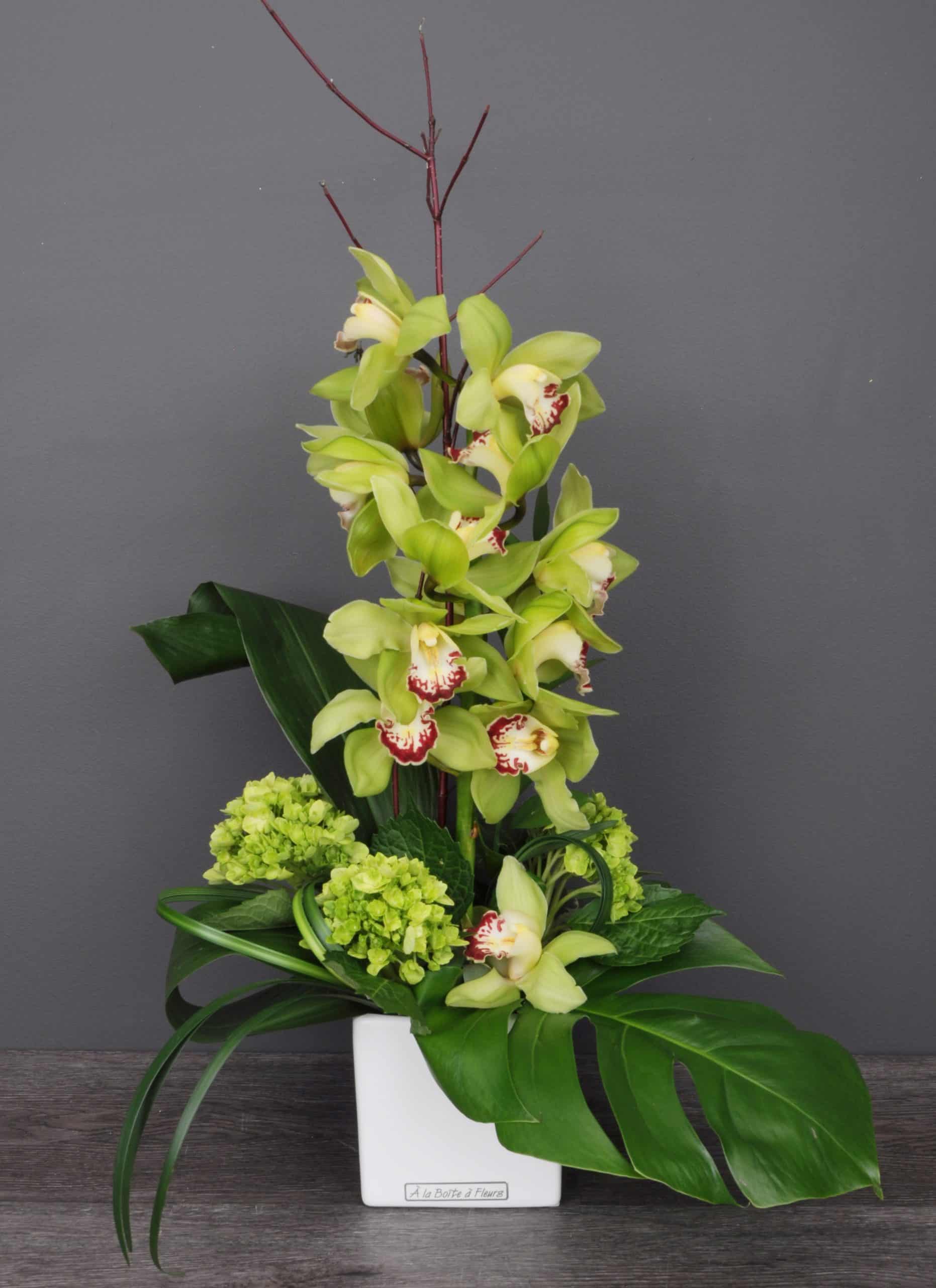ARR062 contemporaine orchidee deluxe