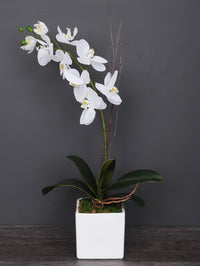 orchidee_artificiel