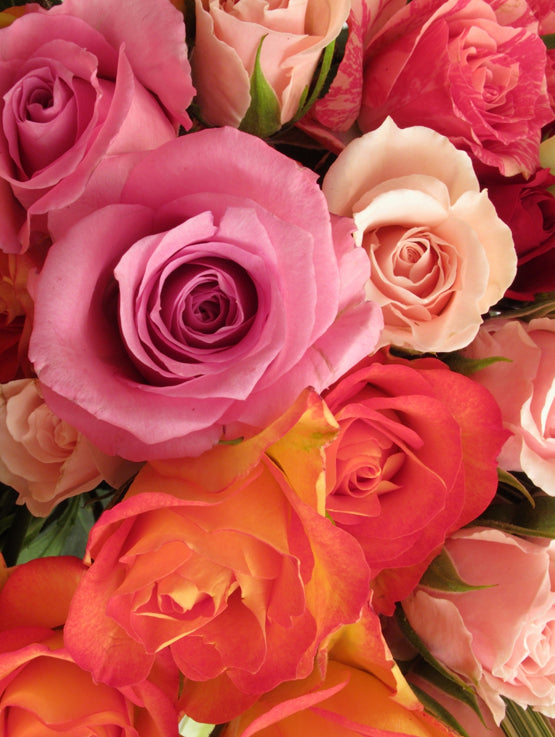 BQT135 6 roses colorees et ses accompagnements