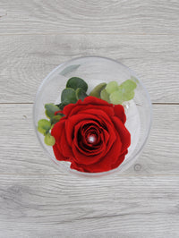 Rose éternelle j't'aime plusss que l'vin